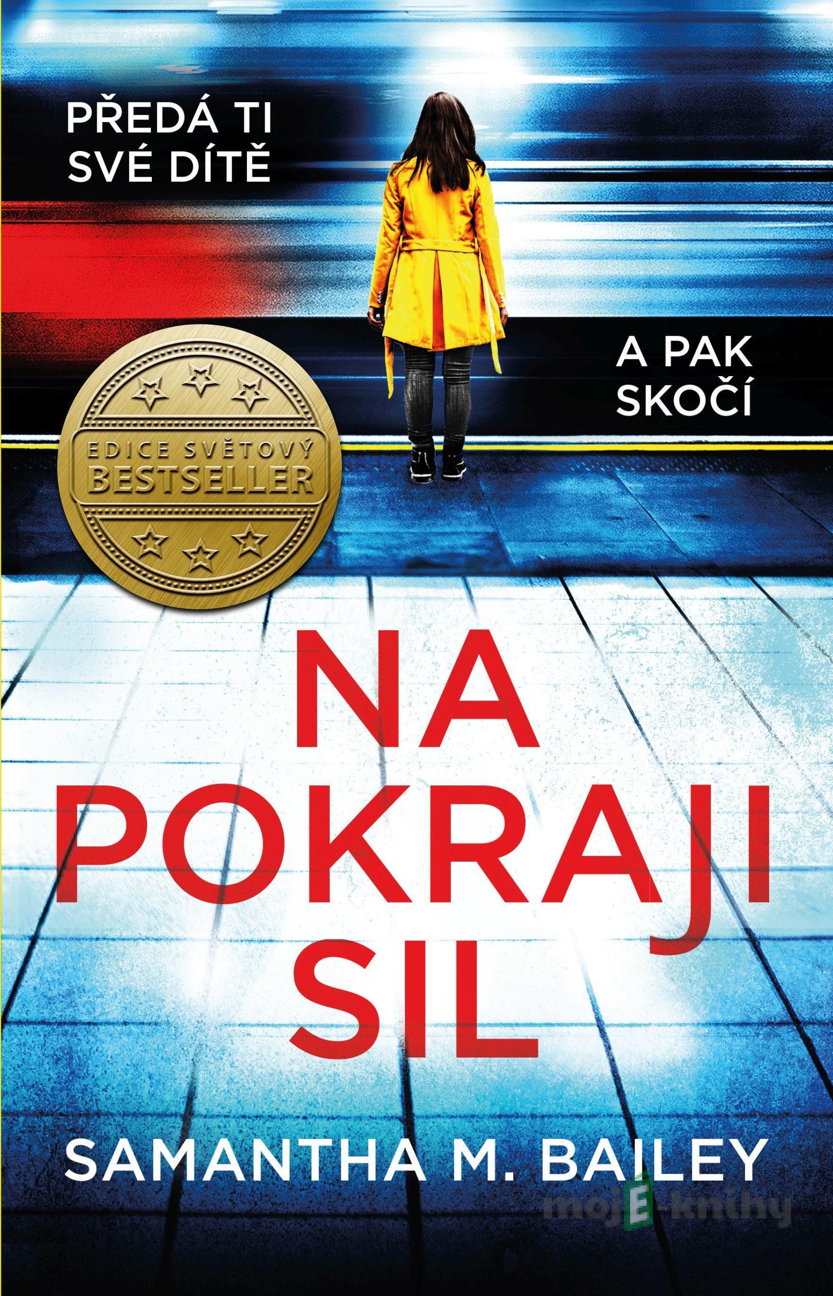 Na pokraji sil - Samantha M. Bailey Na pokraji sil - Samantha M. Bailey