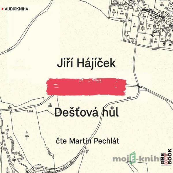 Dešťová hůl - Jiří Hájíček