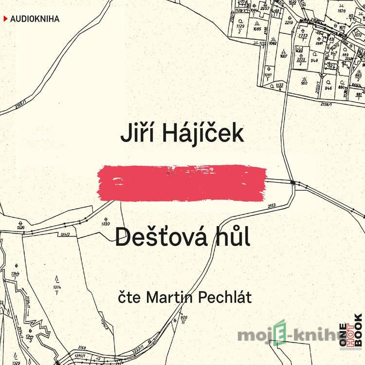 Dešťová hůl - Jiří Hájíček Dešťová hůl - Jiří Hájíček