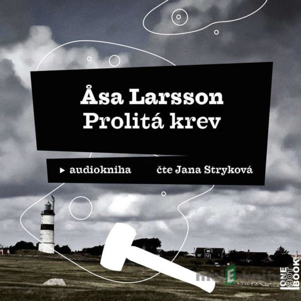 Prolitá krev - Asa Larsson
