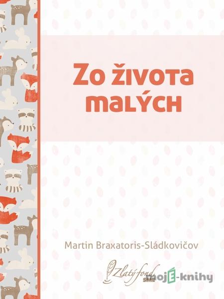 Zo života malých - Martin Braxatoris-Sládkovičov Zo života malých - Martin Braxatoris-Sládkovičov