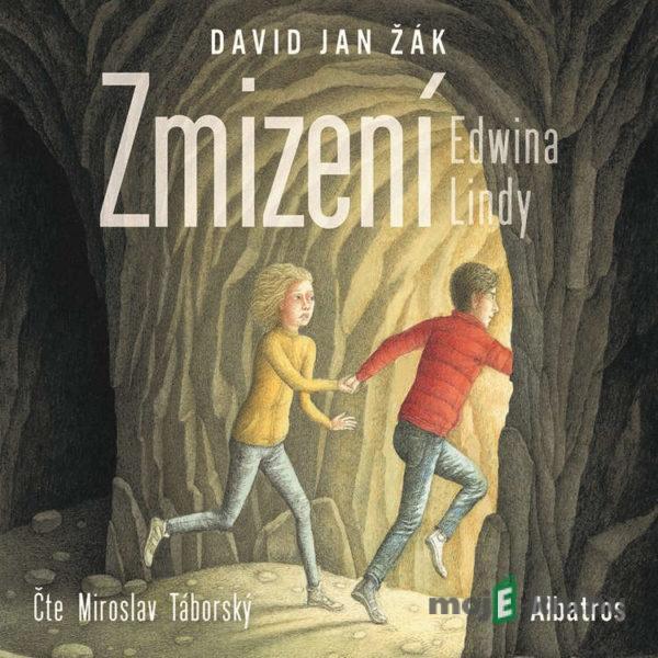 Zmizení Edwina Lindy - David Jan Žák