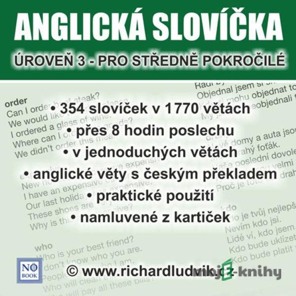 Anglická slovíčka - úroveň 3 pro středně pokročilé - Richard Ludvík