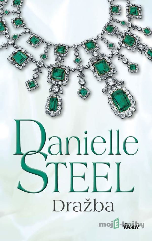 Dražba - Danielle Steel