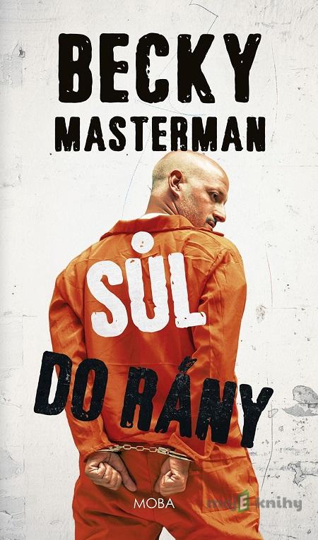 Sůl do rány - Becky Masterman Sůl do rány - Becky Masterman