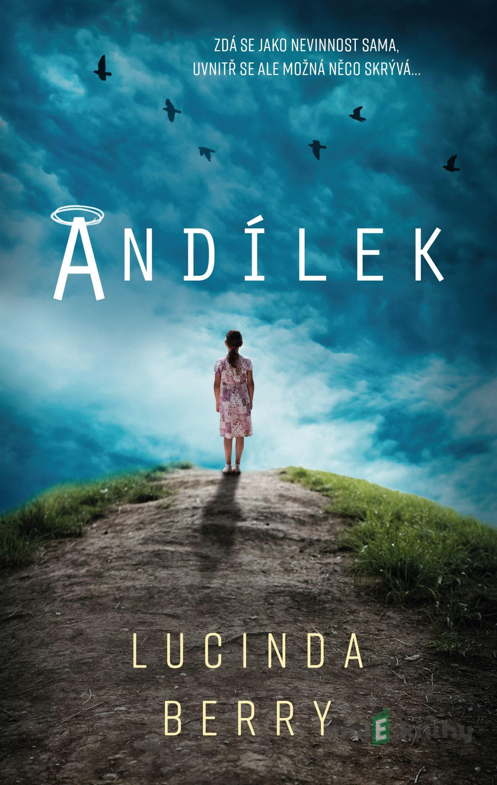 Andílek - Lucinda Berry Andílek - Lucinda Berry