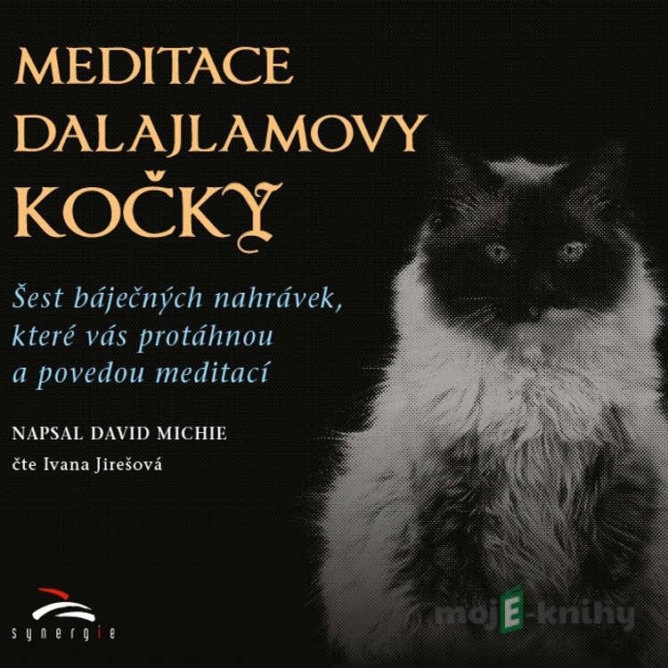 Meditace dalajlamovy kočky - David Michie Meditace dalajlamovy kočky - David Michie