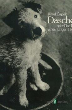 Daschenka oder das Leben eines jungen Hundes - Karel Čapek
