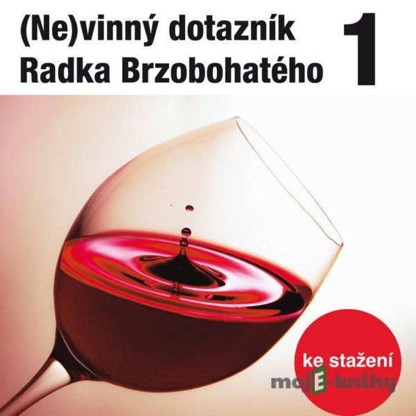 (Ne)vinný dotazník Radka Brzobohatého 1. - Radoslav Brzobohatý