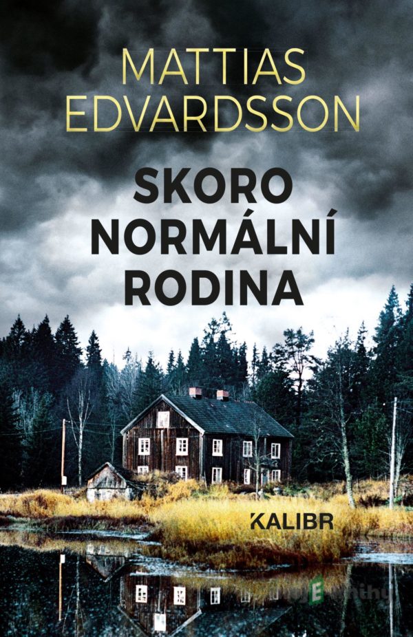 Skoro normální rodina - Mattias Edvardsson