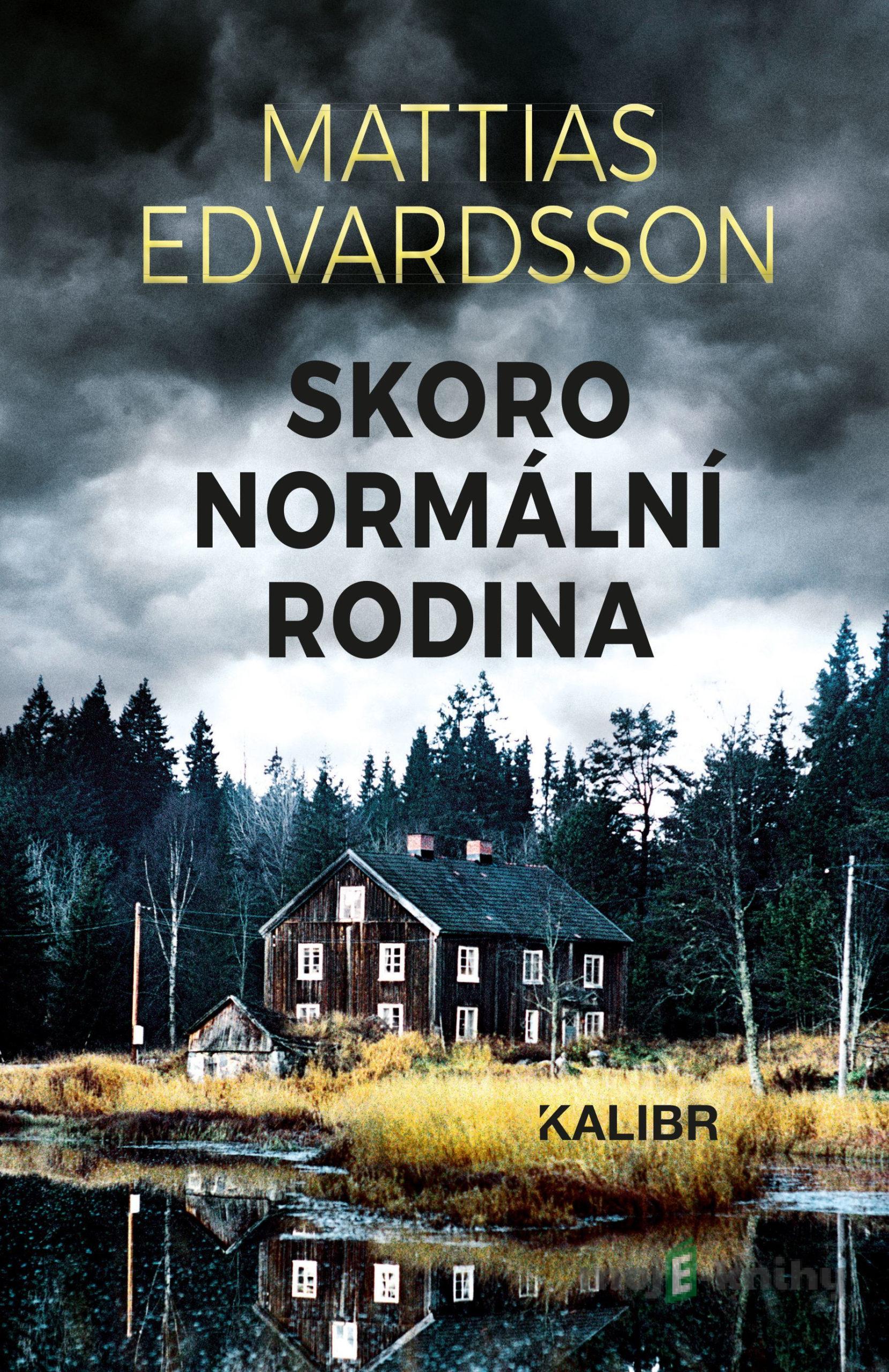 Skoro normální rodina - Mattias Edvardsson Skoro normální rodina - Mattias Edvardsson