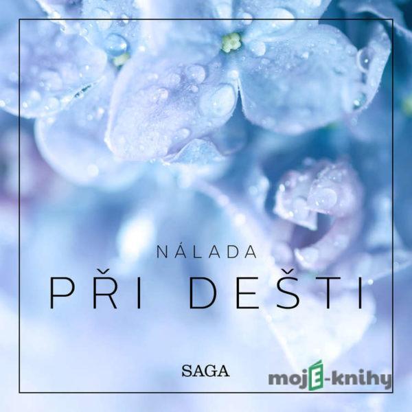 Nálada – Při dešti - Rasmus Broe