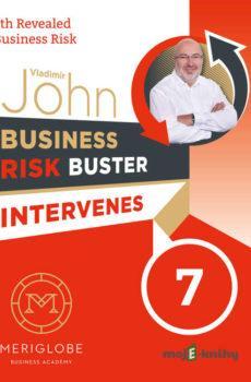 Business Risk Buster Intervenes 7 - Vladimír John