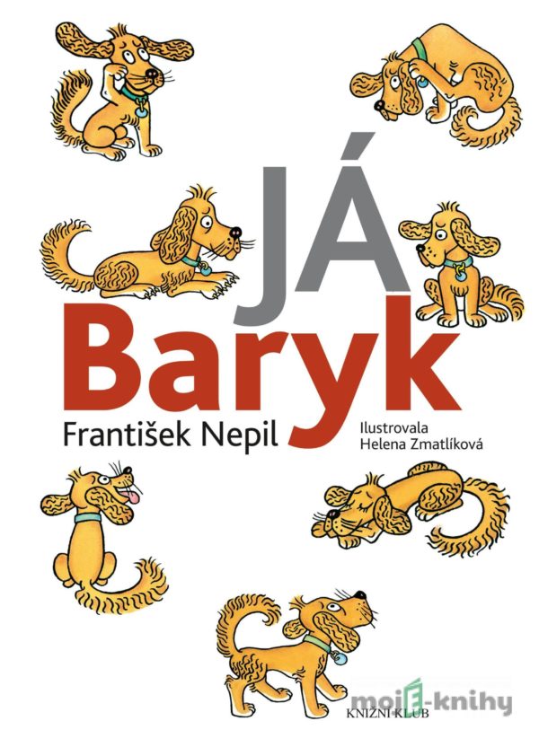 Já Baryk - František Nepil