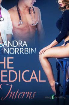 The Medical Interns - erotic short story (EN) - Sandra Norrbin