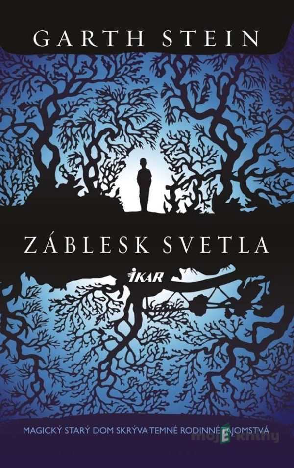 Záblesk svetla - Garth Stein