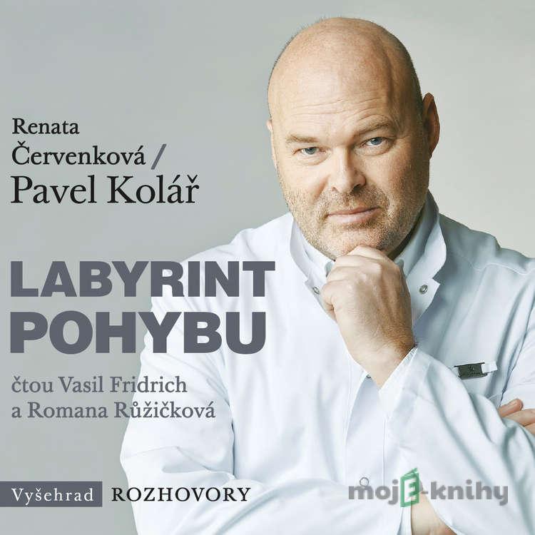 Labyrint pohybu - Renata Červenková,Pavel Kolář Labyrint pohybu - Renata Červenková,Pavel Kolář