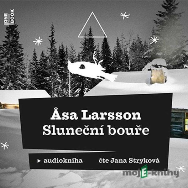 Sluneční bouře - Asa Larsson