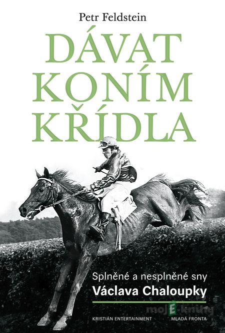 Dávat koním křídla - Petr Feldstein Dávat koním křídla - Petr Feldstein