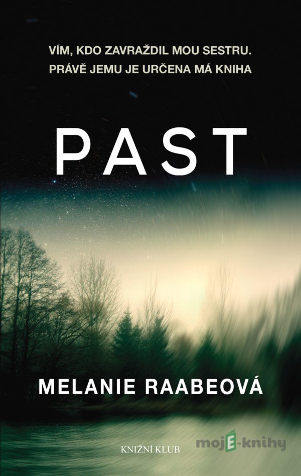Past - Melanie Raabe