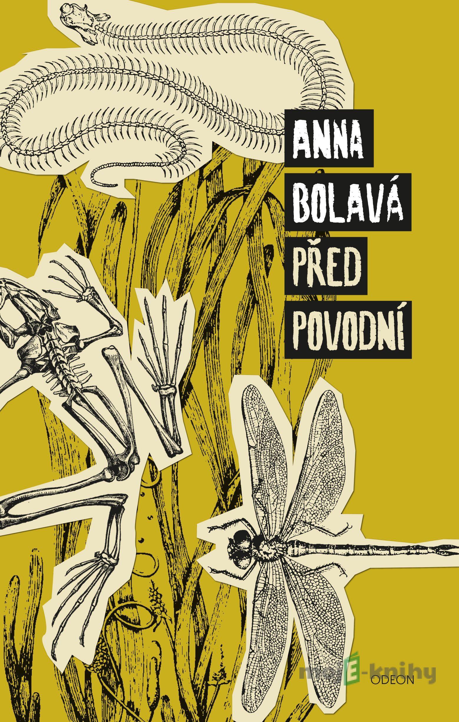 Před povodní - Anna Bolavá Před povodní - Anna Bolavá