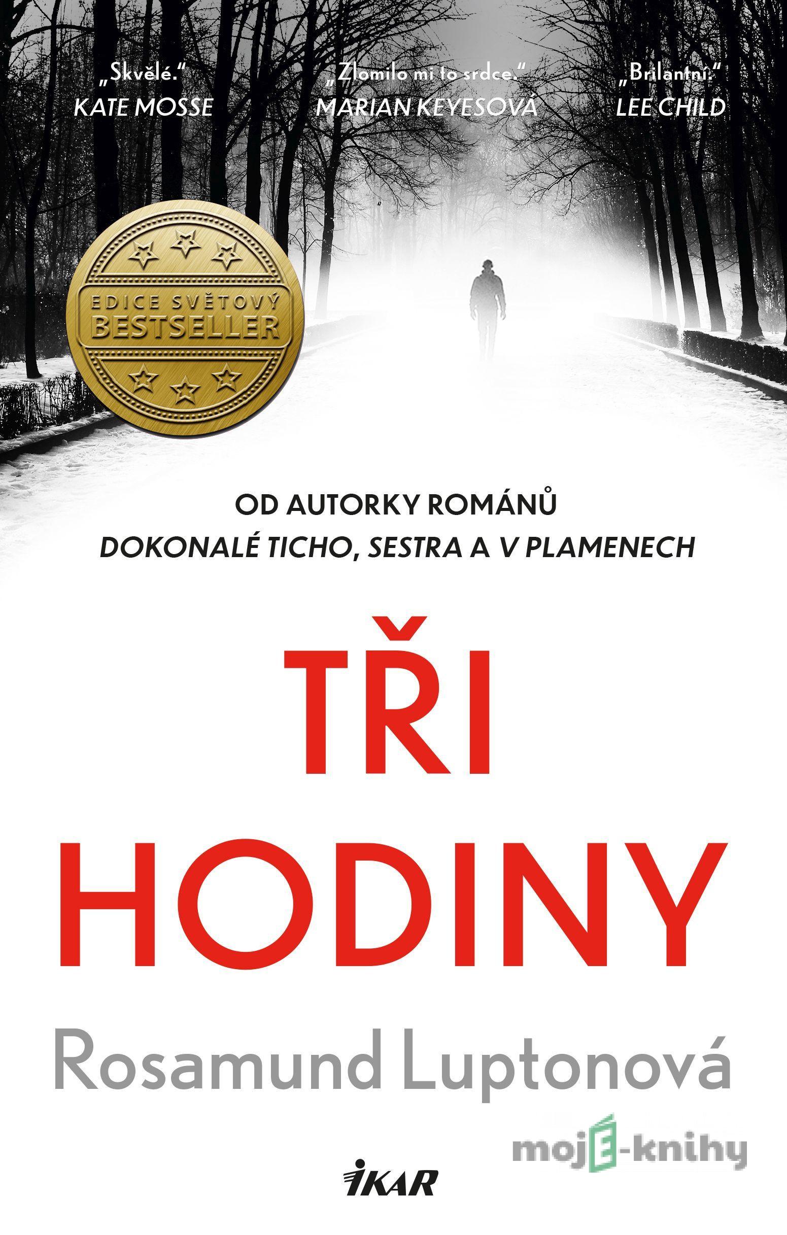 Tři hodiny - Rosamund Lupton Tři hodiny - Rosamund Lupton