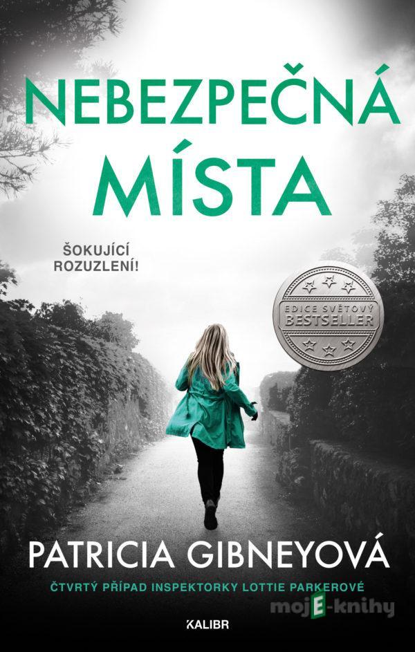 Nebezpečná místa - Patricia Gibney