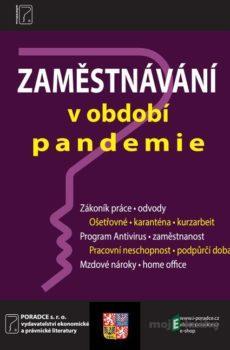 Zaměstnávání v období pandemie  - Ladislav Jouza Petr Taranda, Ivan Macháček