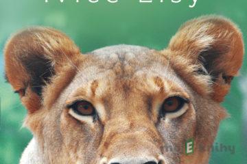 Příběh lvice Elsy - Joy Adamson