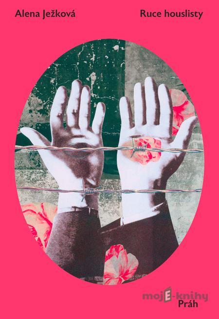 Ruce houslisty - Alena Ježková Ruce houslisty - Alena Ježková