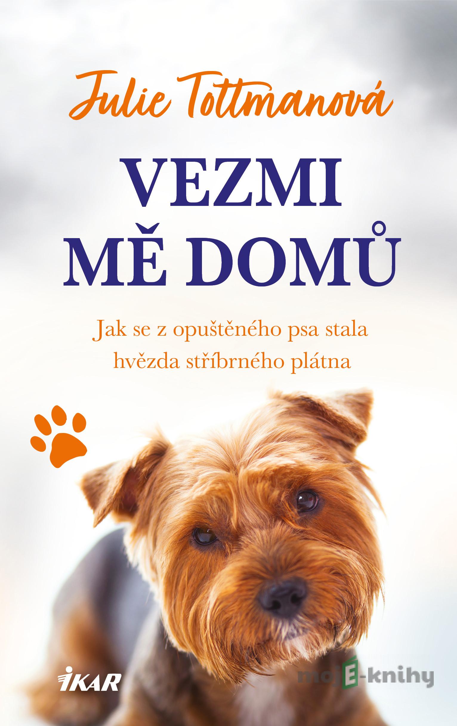 Vezmi mě domů - Julie Tottman Vezmi mě domů - Julie Tottman