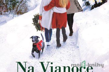 Na Vianoce o jedného viac - Sarah Morgan