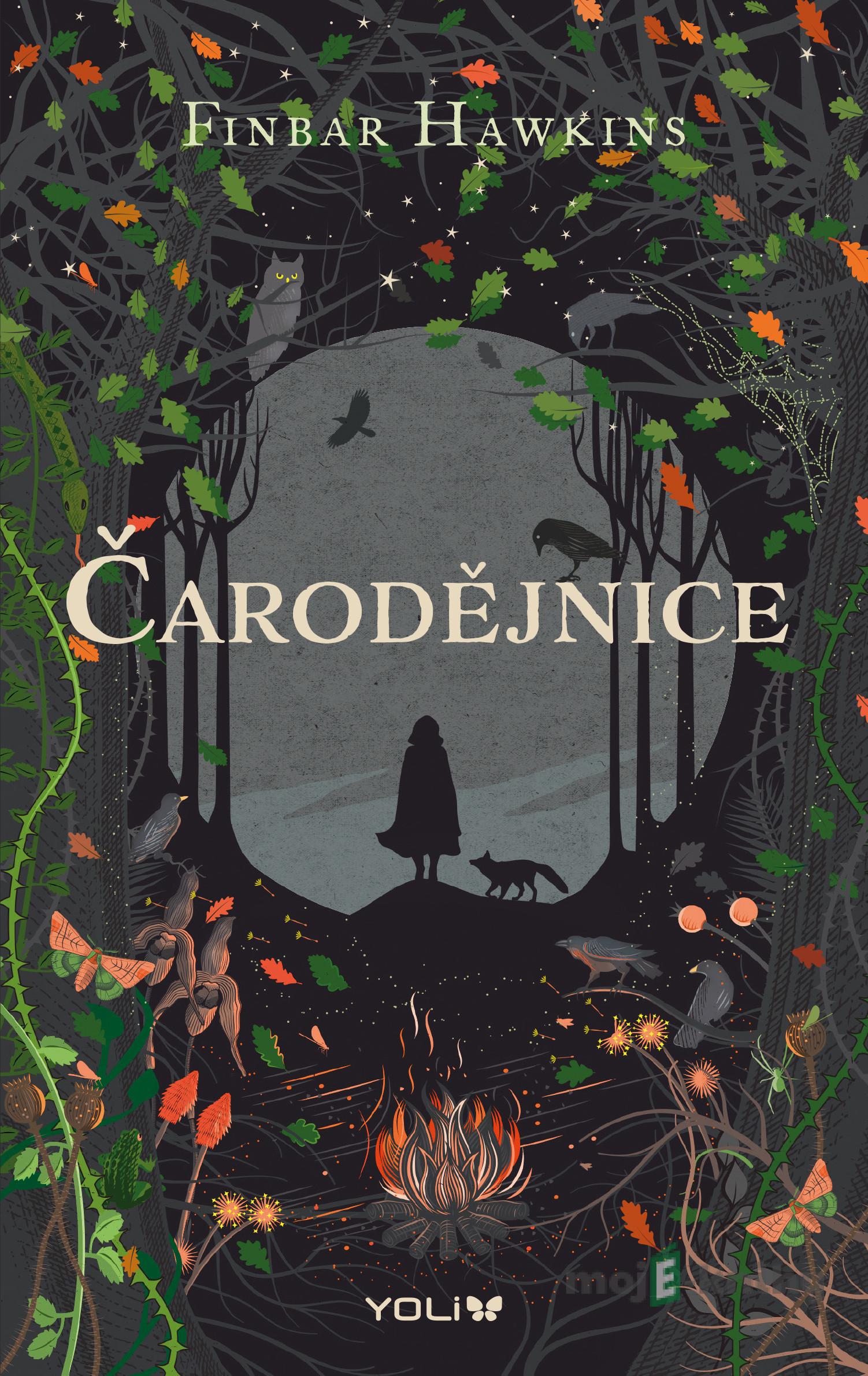 Čarodějnice - Finbar Hawkins Čarodějnice - Finbar Hawkins