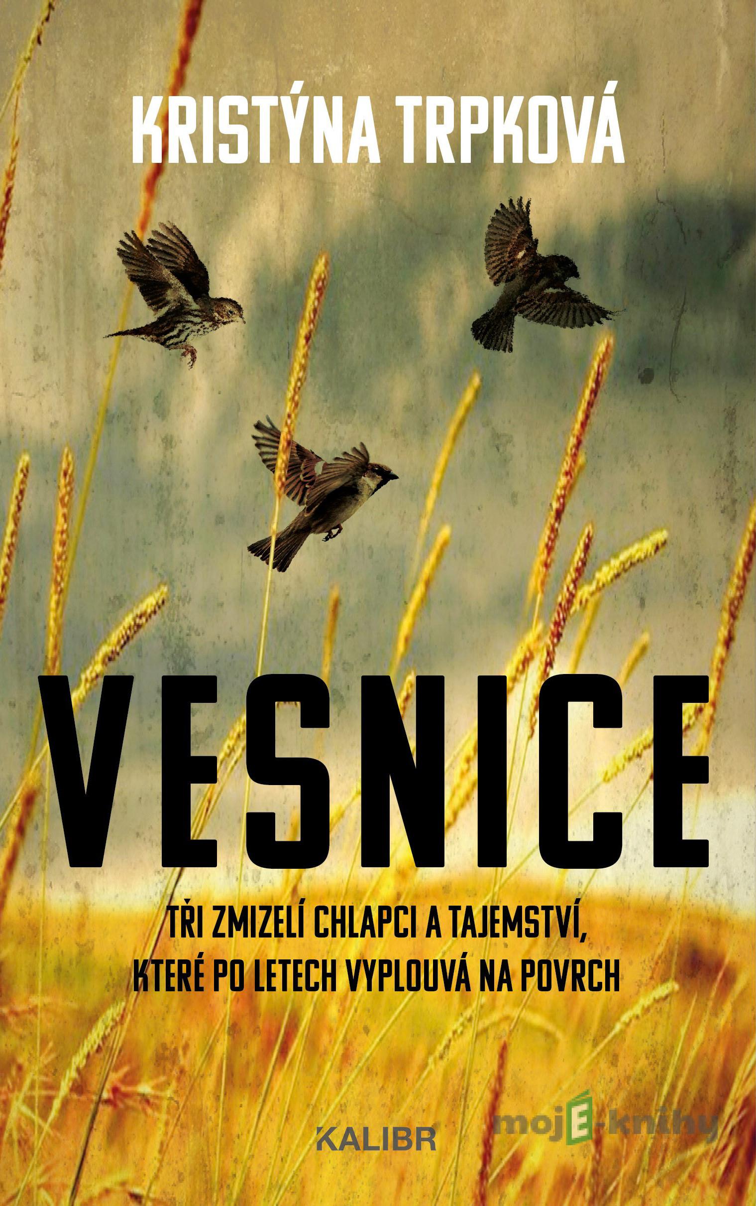 Vesnice - Kristýna Trpková Vesnice - Kristýna Trpková