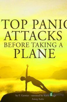 Stop Panic Attacks Before Taking a Plane (EN) - Frédéric Garnier