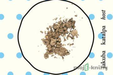 Je hlína k snědku? - Jakuba Katalpa