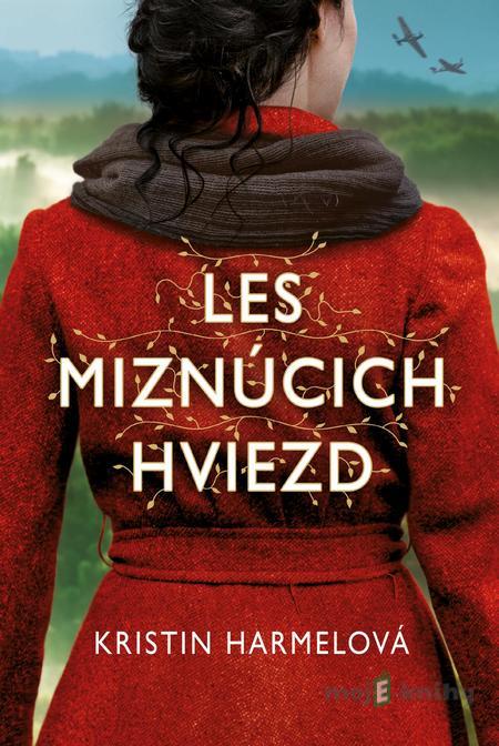Les miznúcich hviezd - Kristin Harmel Les miznúcich hviezd - Kristin Harmel