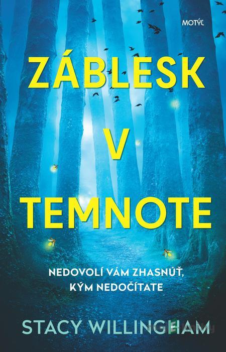Záblesk v temnote - Stacy Willingham Záblesk v temnote - Stacy Willingham