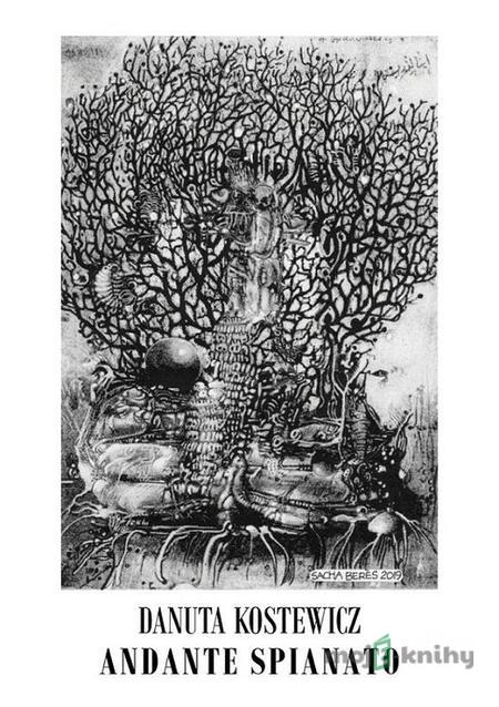 Andante spianato - Danuta Kostewicz Andante spianato - Danuta Kostewicz