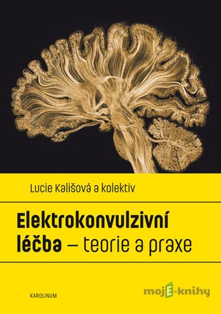Elektrokonvulzivní léčba – teorie a praxe - Lucie Kališová a kolektiv Elektrokonvulzivní léčba – teorie a praxe - Lucie Kališová a kolektiv