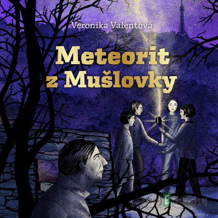 Meteorit z Mušlovky - Veronika Valentová Meteorit z Mušlovky - Veronika Valentová