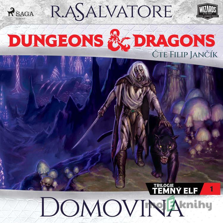 Dungeons & Dragons. Legenda o Drizztovi. Temný elf 1: Domovina - R. A. Salvatore Dungeons & Dragons. Legenda o Drizztovi. Temný elf 1: Domovina - R. A. Salvatore