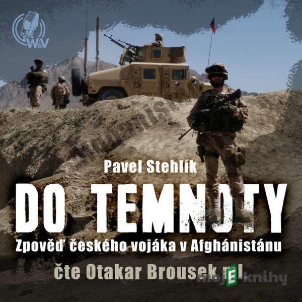 Do temnoty - Pavel Stehlík