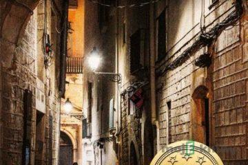 Stín větru - Carlos Ruiz Zafón