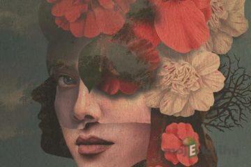 Pani Veštba - Margaret Atwood