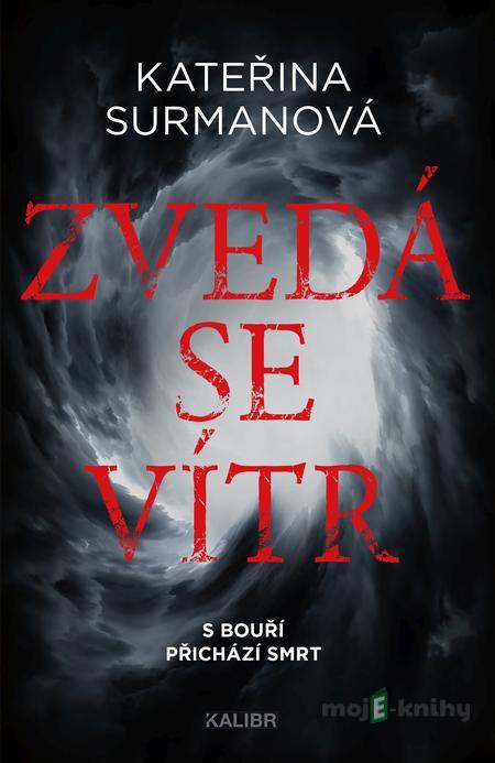 Zvedá se vítr - Kateřina Surmanová Zvedá se vítr - Kateřina Surmanová