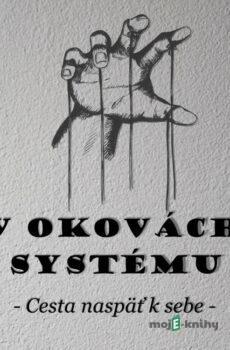 V okovách systému - Michal Drienik