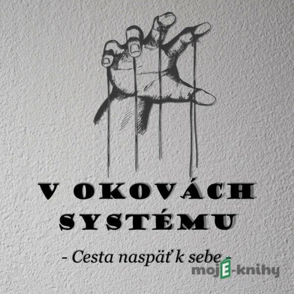 V okovách systému - Michal Drienik