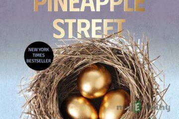 Dům na Pineapple Street - Jenny Jackson