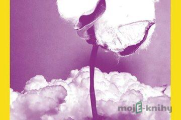 Návrat domov - Yaa Gyasi